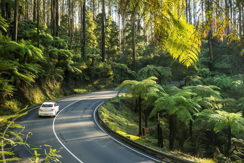 Lithgow Falls Marysville Zewnętrze zdjęcie